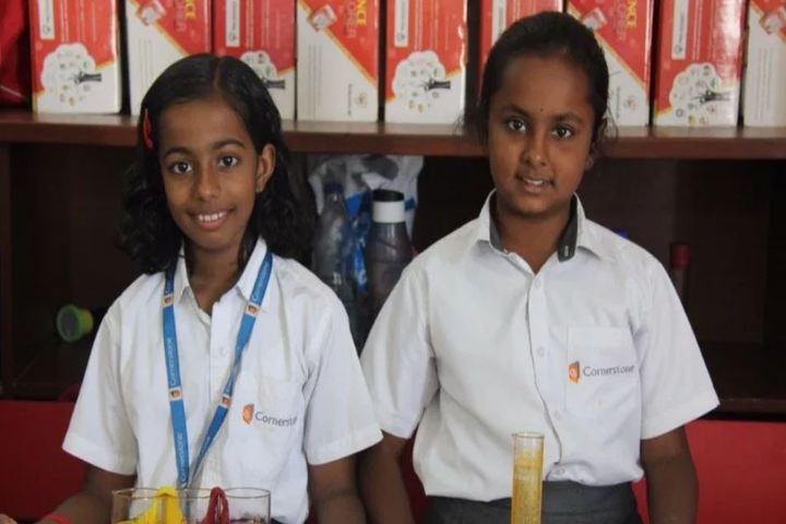 Cornerstone School-Science Events