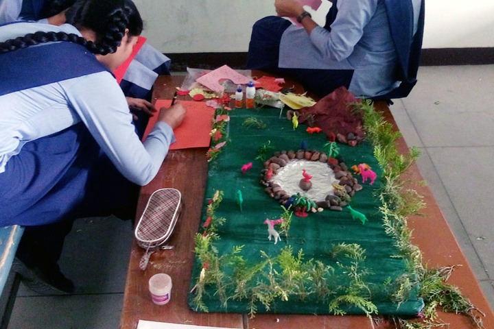 Baba Gurukul Academy-Environment Model