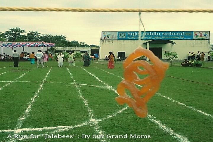 Bajaj Public School-Play Ground