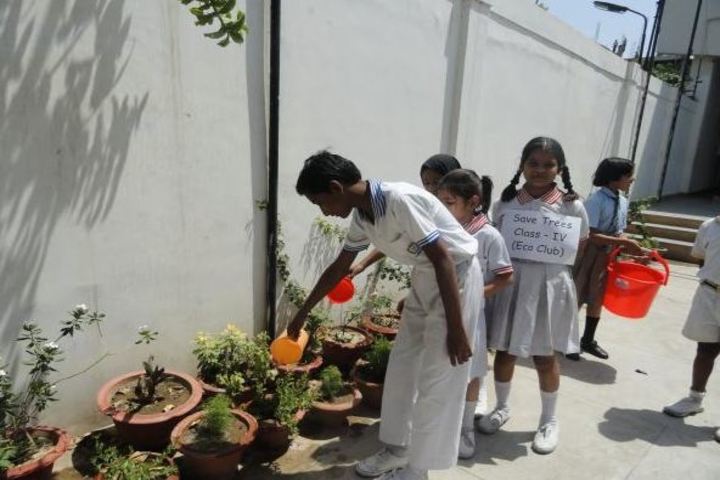 Bal Bharti School- Plantation
