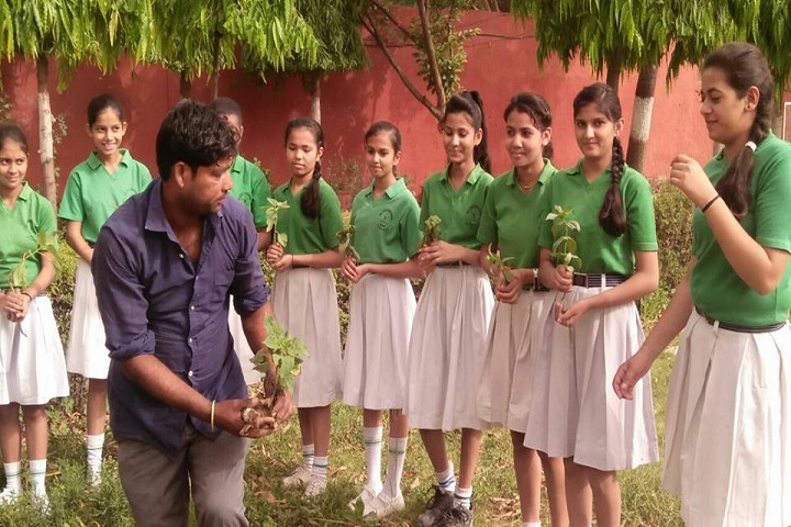 Bal Jyoti Public School-Plantation