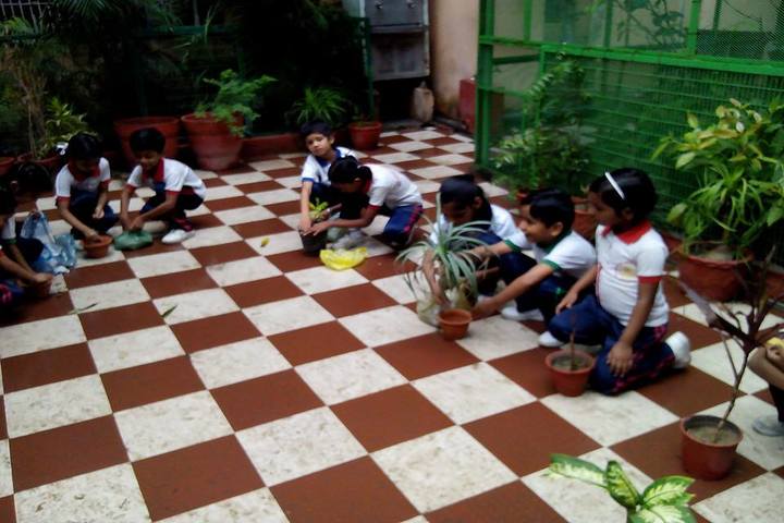 Bal Vidyalaya Madhyamik School- Plantation
