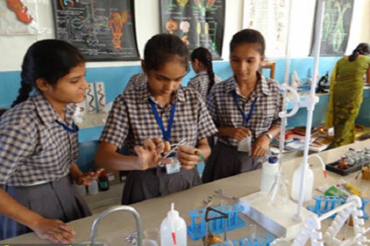 Baluni Public School-Chemistry Lab