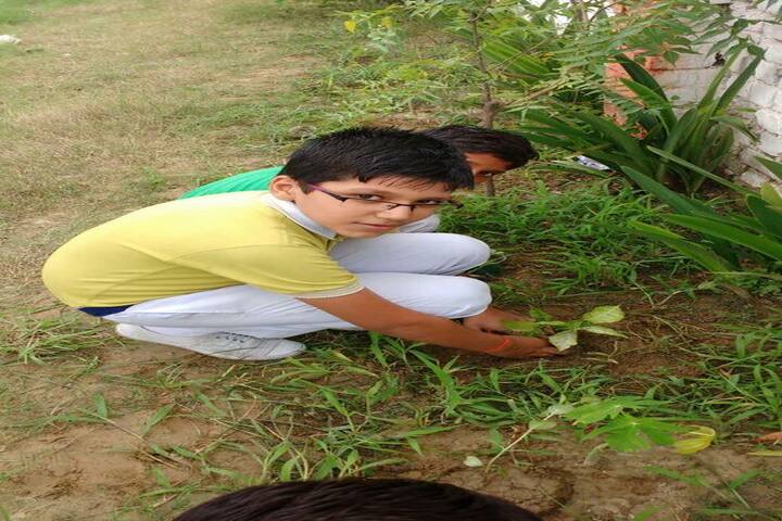BDM Public School-Plantation