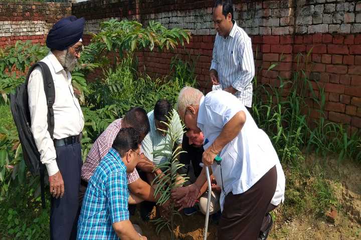 Bharat Vikas Parishad Kanya Ucha Madhyamik Vidyalaya-Plantation