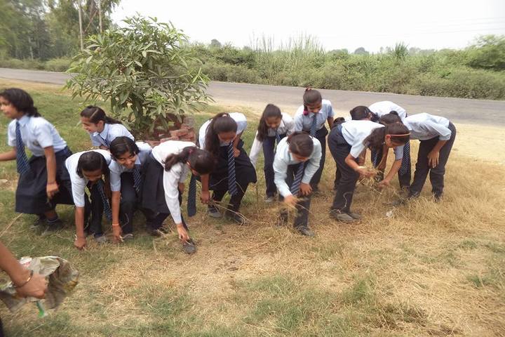 Bhashkar International School-Swachh Bharath