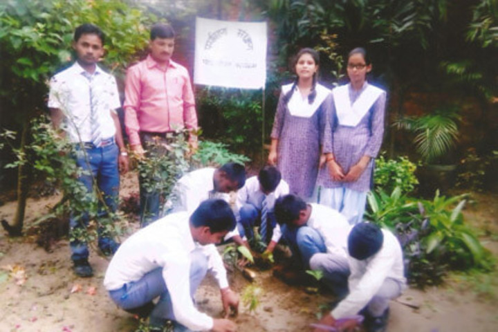 Blooming Buds English School-Tree Plantation