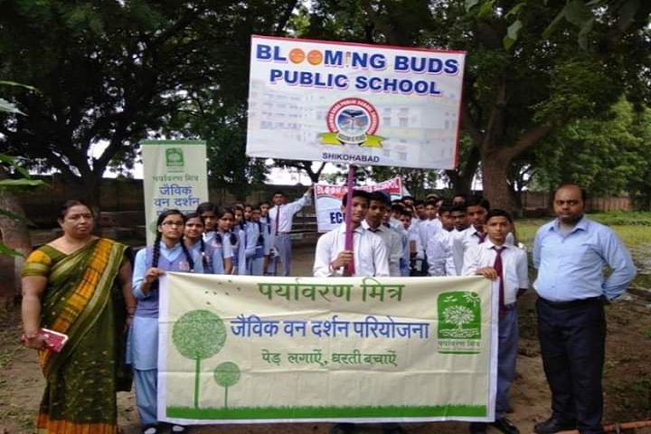 Blooming Buds Public School-Rally