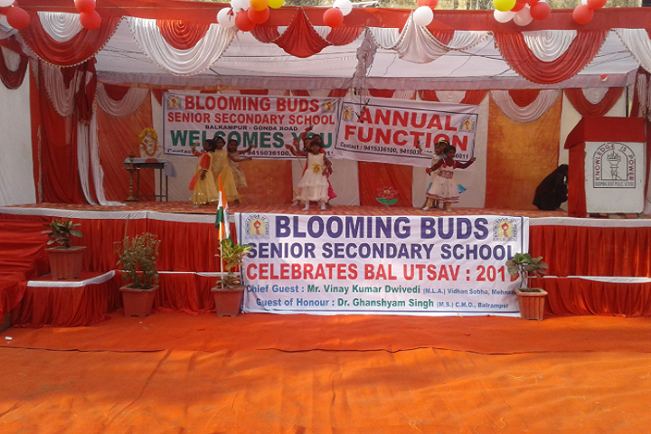 Blooming Buds Senior Secondary School- Bal Utsav Celebrations
