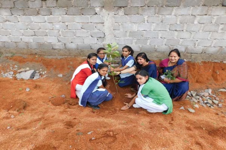 Blue Bells School-Plantation Activity