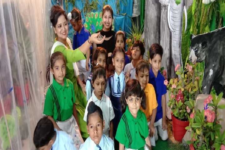 Blue Bells School-Activity
