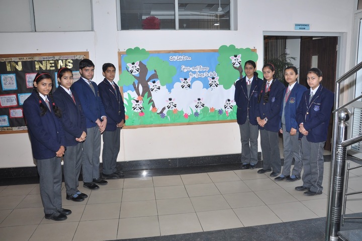 BNG International School-Board Making Compitition