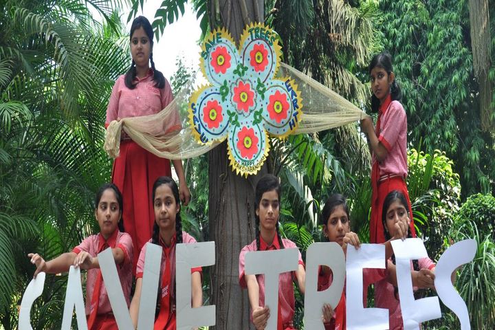 Bonny Anne Public School-Save Trees