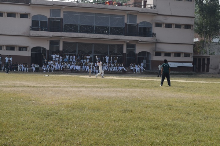 Brownwood Public School-Cricket