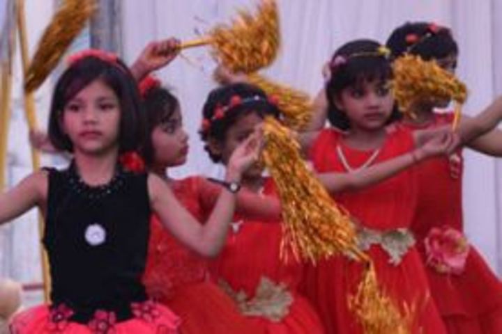 BSS Public School-Annual Day