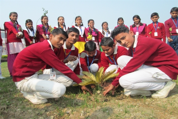 Cambridge International School-Green Day