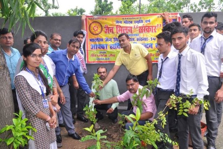 Chander sain convent Academy-Tree Plantation