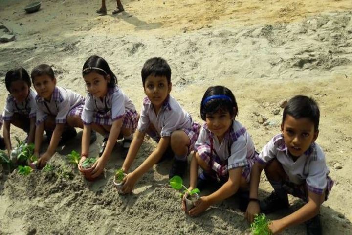Chhaya Public School-Tree Plantation