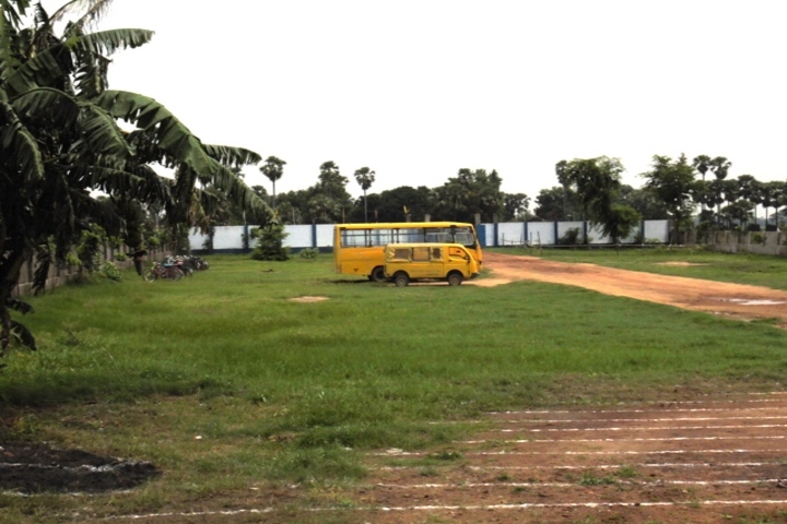 School Of Science And Technology-School Buses