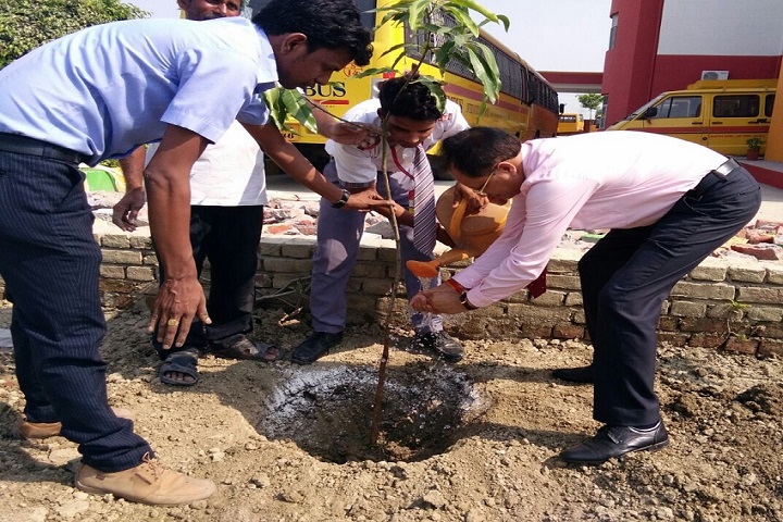Columbus International School-Tree Plantation