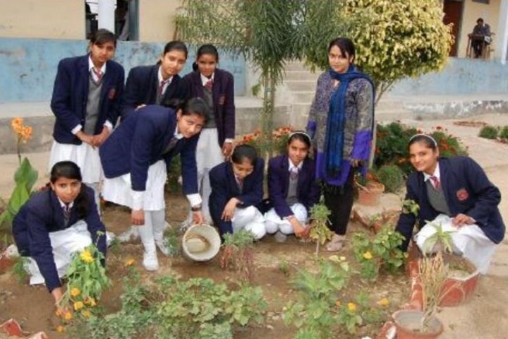 D A V Public School-Tree plantation