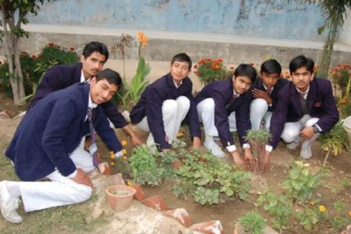 D A V Public School-Tree plantation1
