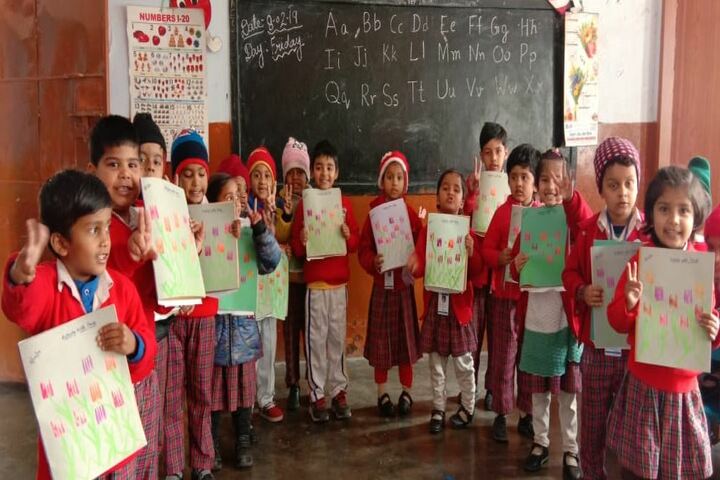 D A V Public School-Activity