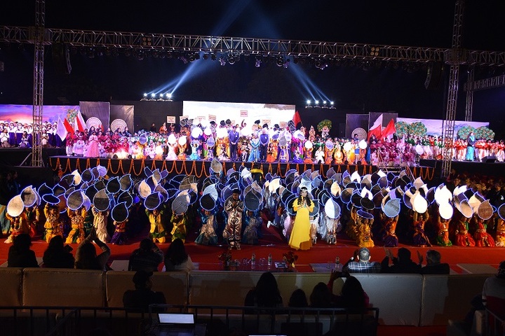 D A V Public School-Annual day