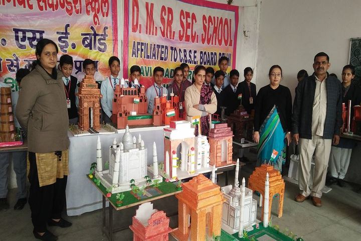 D.M. Public School, Parikshitgarh Meerut-Exhibition1