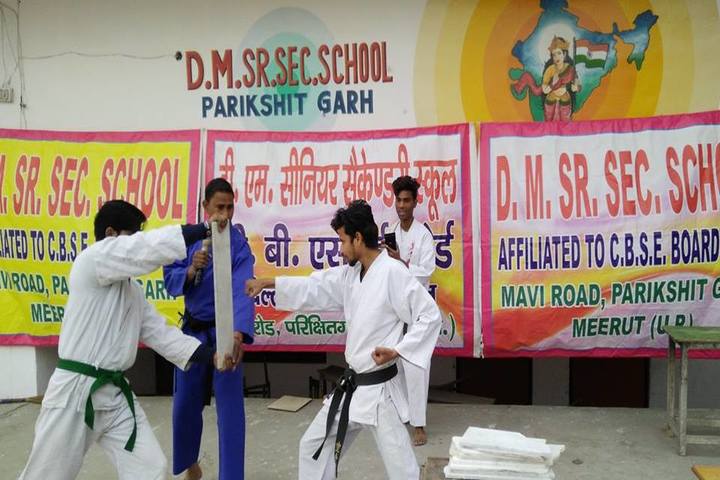 D.M. Public School, Parikshitgarh Meerut-Karatte