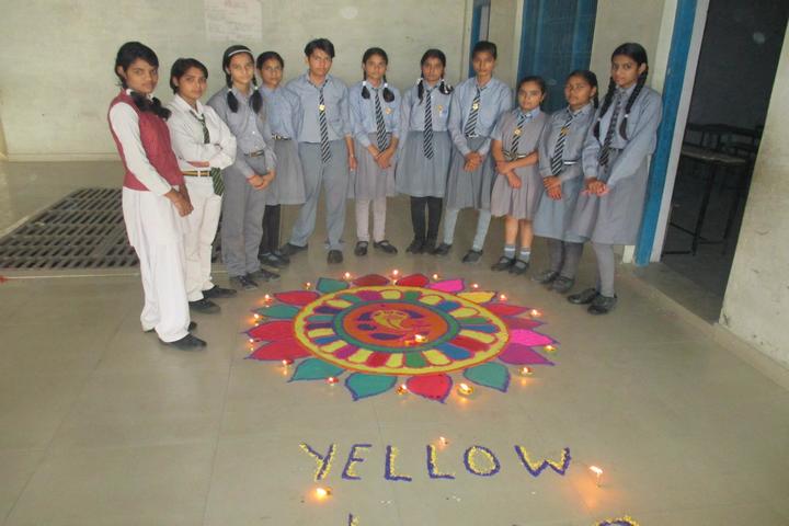 D S Public School-Activity