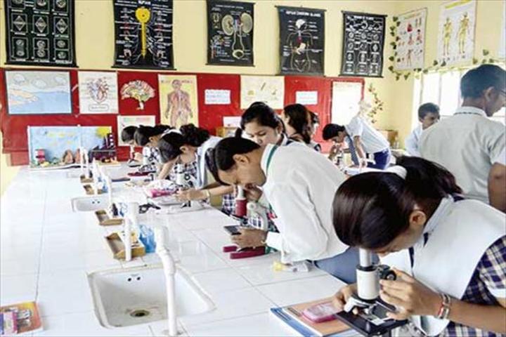 Daffodils Public School-Lab2