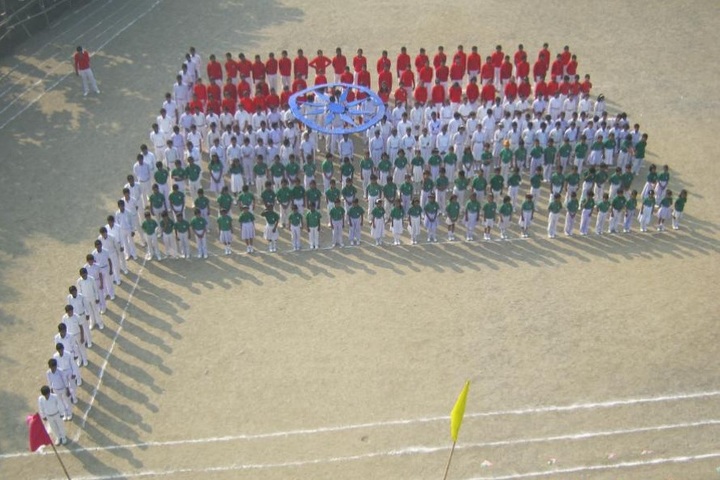 Secondary Delhi Public School-Indian Flag
