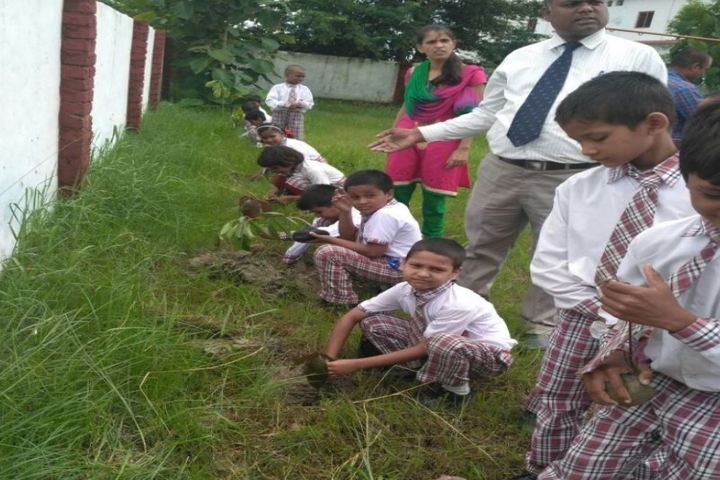 Dawn Washco School-Tree Plantation