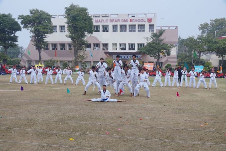 Dayawati Modi International-Karatte1