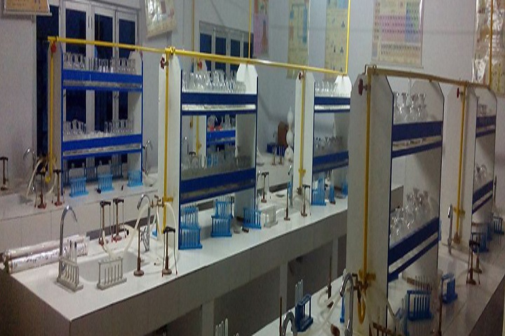 Delhi Public Convent School-Chemistry-Lab