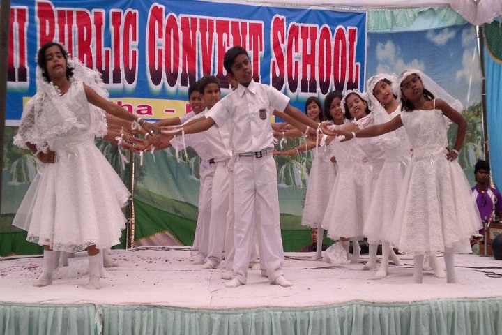 Delhi Public Convent School-Dance