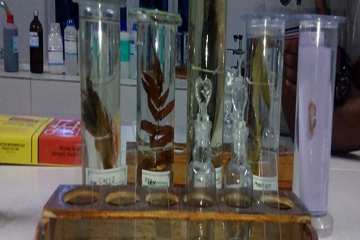 Delhi Public Convent School-Laboratory