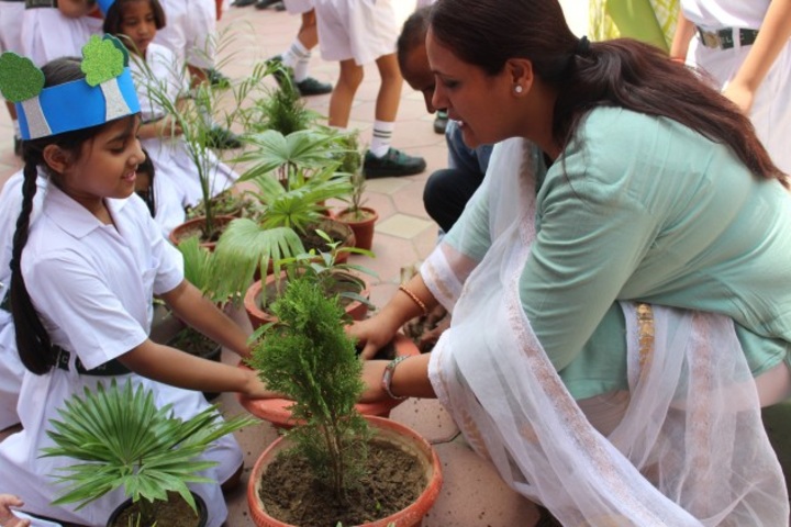 Delhi Public School-Plantation