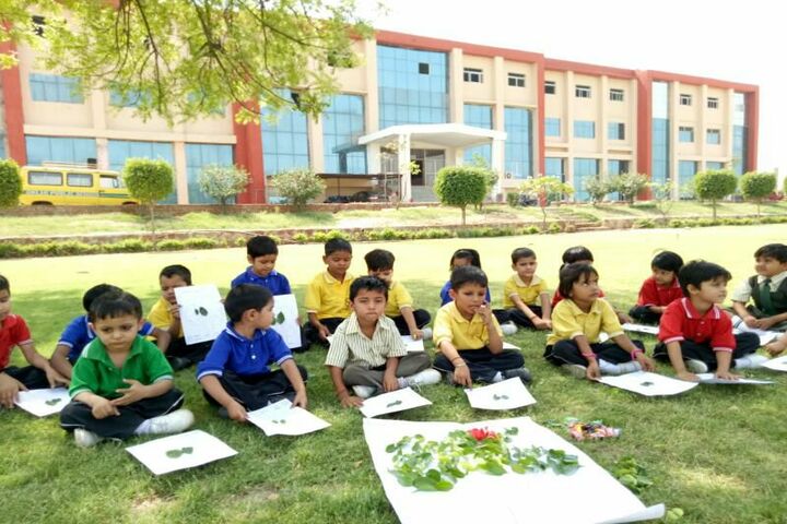 Delhi Public School-Activity