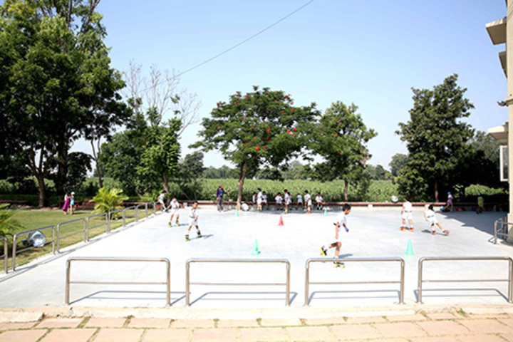Delhi Public School-Skating