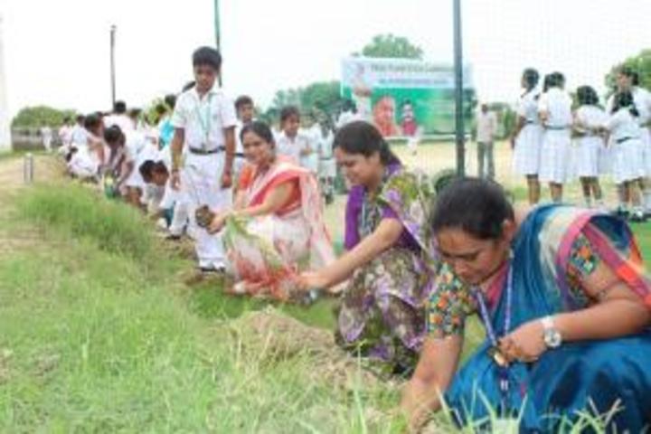 Delhi Public School-Plantation Competition