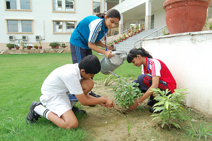 Delhi Public School-Plantation