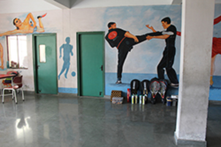 Delhi Public School-Karate