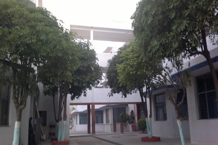 Dewan Public School-Campus-View full