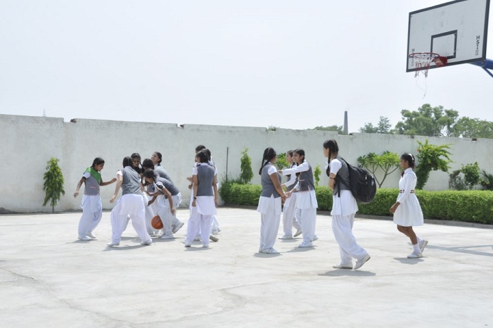 Divine International Academy-Sports vollyball