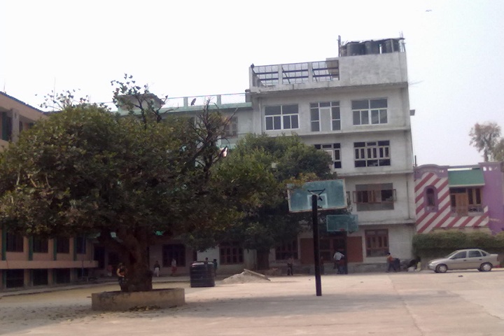 Don and Donna Convent School-Campus-View