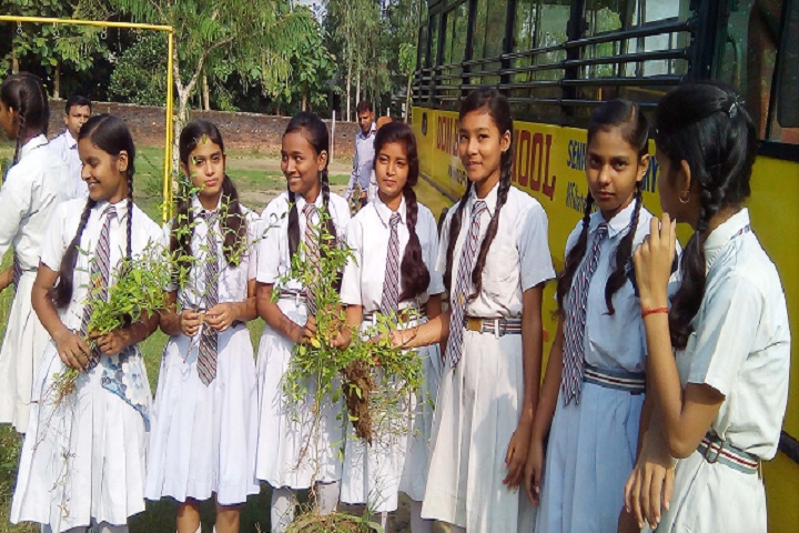 Don Bosco School-Others plantation