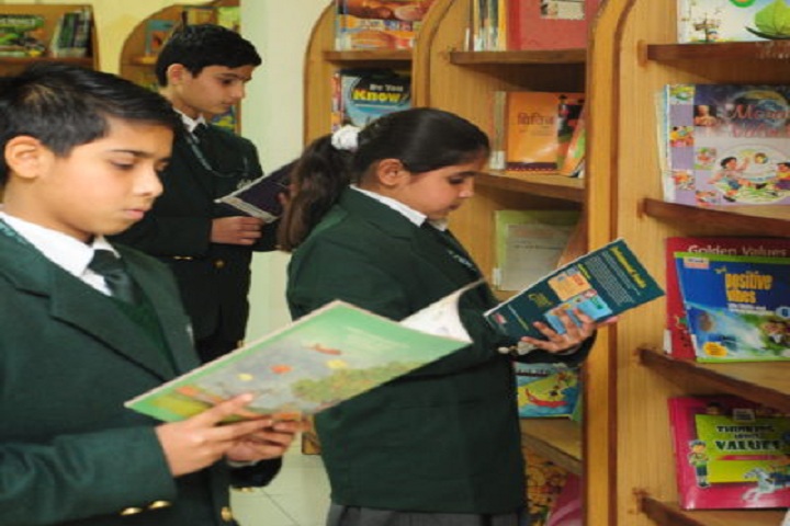Dps World School-Library