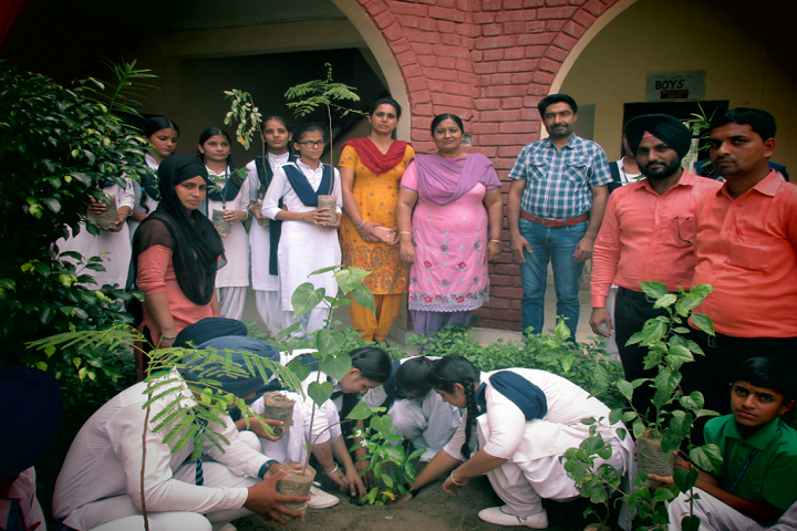 Dr Amrit Lal Isharat Memorial Sun-Others plantation